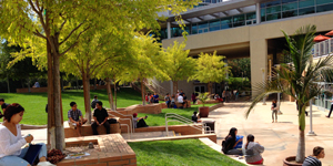 Ϊʲô��ѧ��