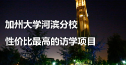 ���ݴ�ѧ�ӱ���У�Լ۱���ߵķ�ѧ��Ŀ